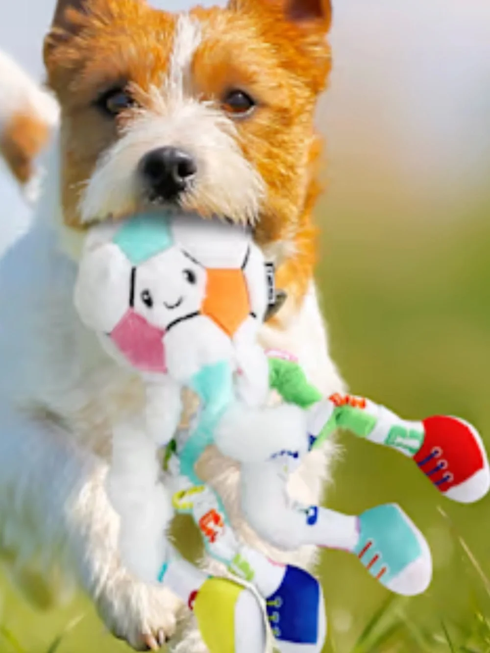 Mini Football Dog Toys, X-Small